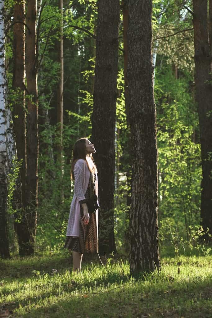 A woman stands in a sunlit forest, gazing upwards surrounded by tall trees.