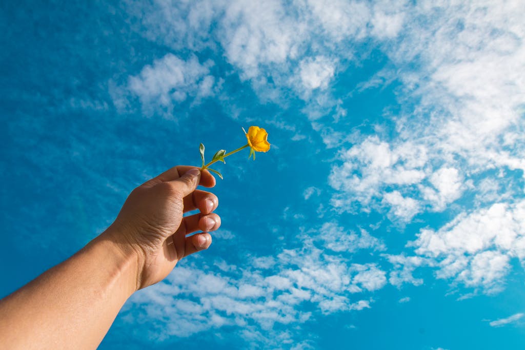 A hand holding a small yellow flower against a vibrant blue sky with scattered clouds.